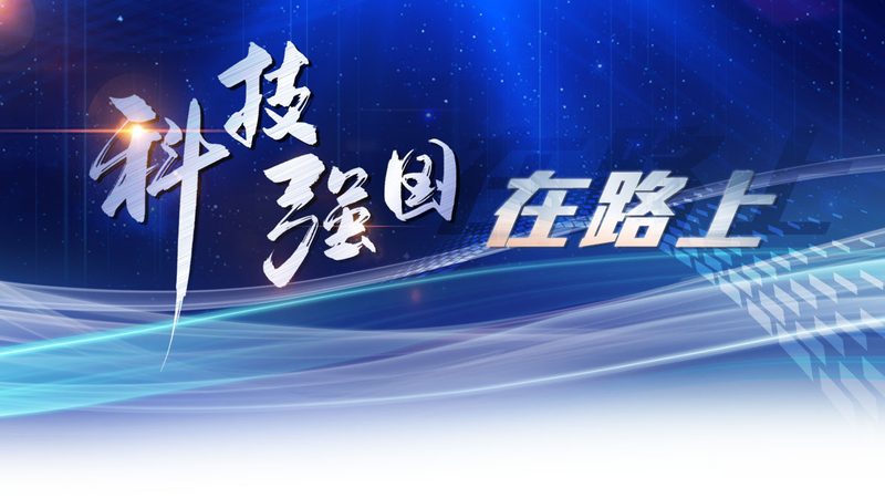 运维服务资质怎么查真假